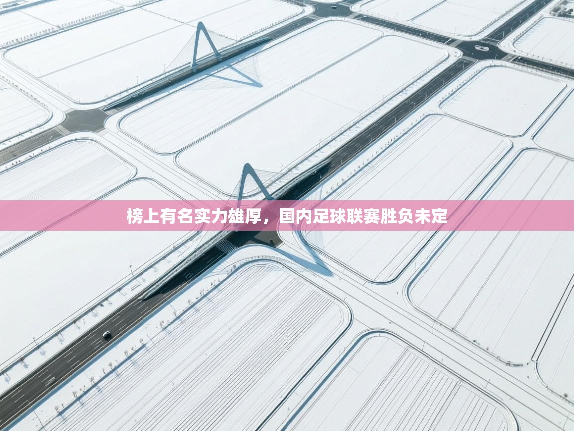 榜上有名实力雄厚，国内足球联赛胜负未定  第1张