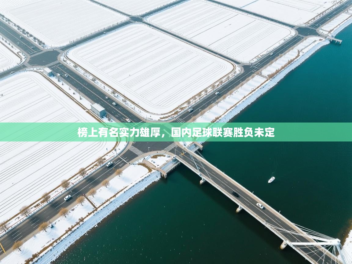 榜上有名实力雄厚，国内足球联赛胜负未定  第2张