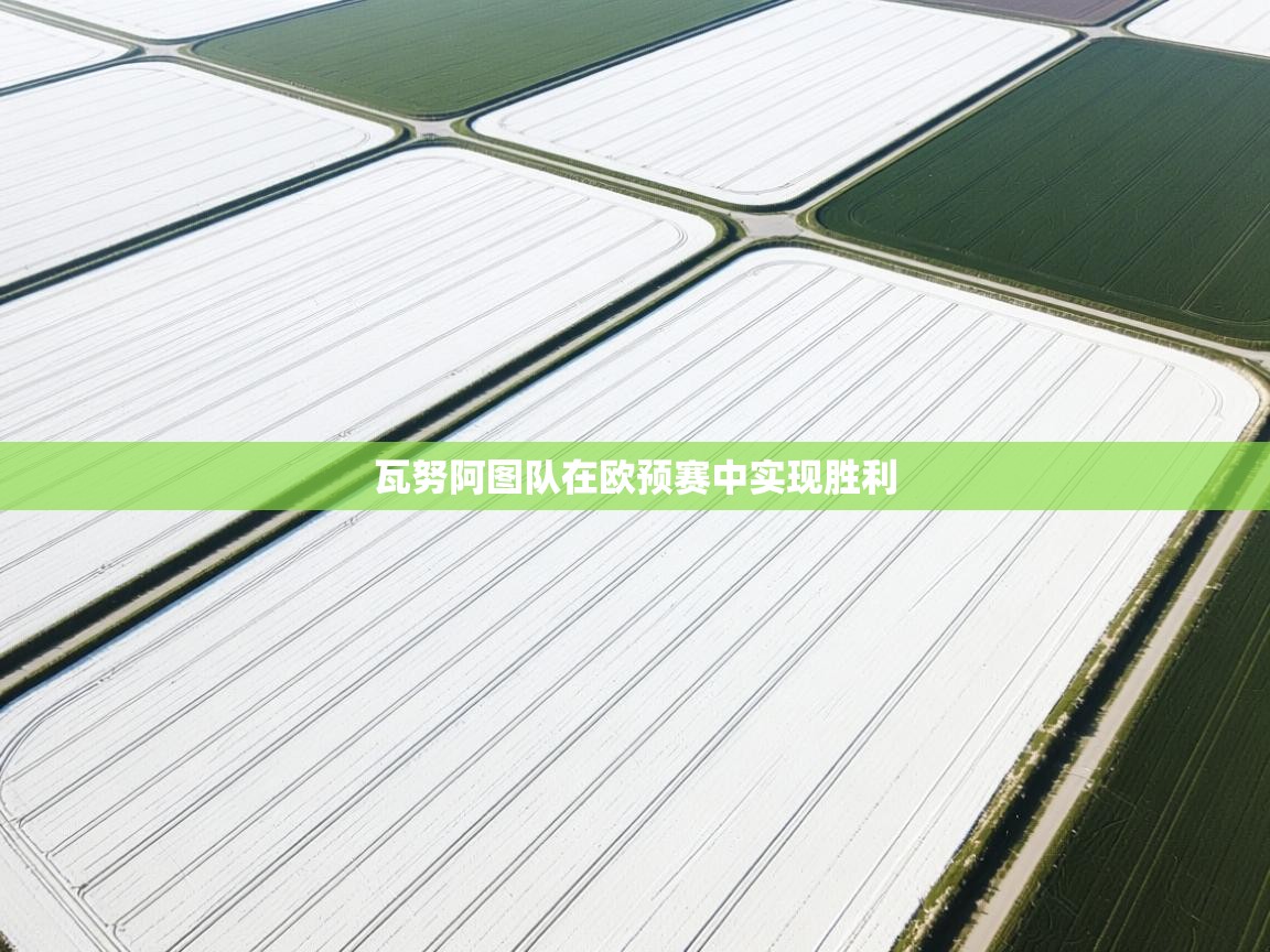 瓦努阿图队在欧预赛中实现胜利  第2张