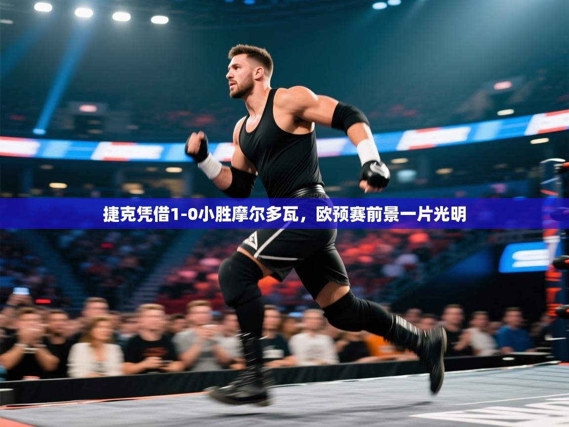 捷克凭借1-0小胜摩尔多瓦,欧预赛前景一片光明 第1张