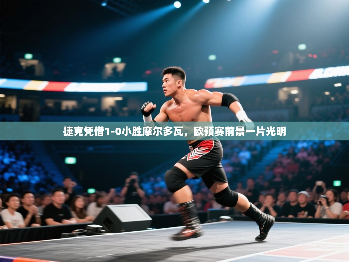 捷克凭借1-0小胜摩尔多瓦,欧预赛前景一片光明 第2张