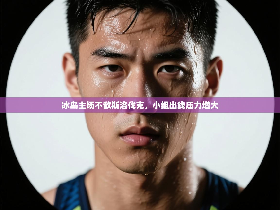 冰岛主场不敌斯洛伐克，小组出线压力增大  第2张