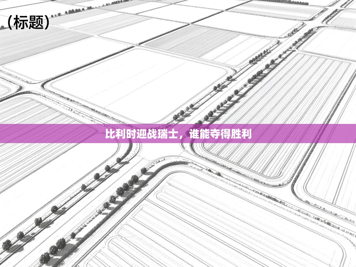 比利时迎战瑞士，谁能夺得胜利  第2张