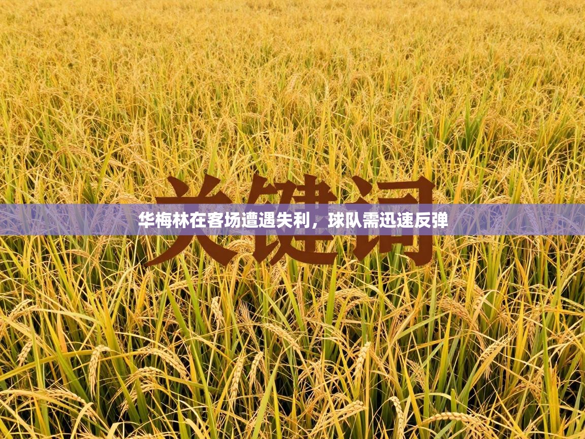 华梅林在客场遭遇失利，球队需迅速反弹  第2张