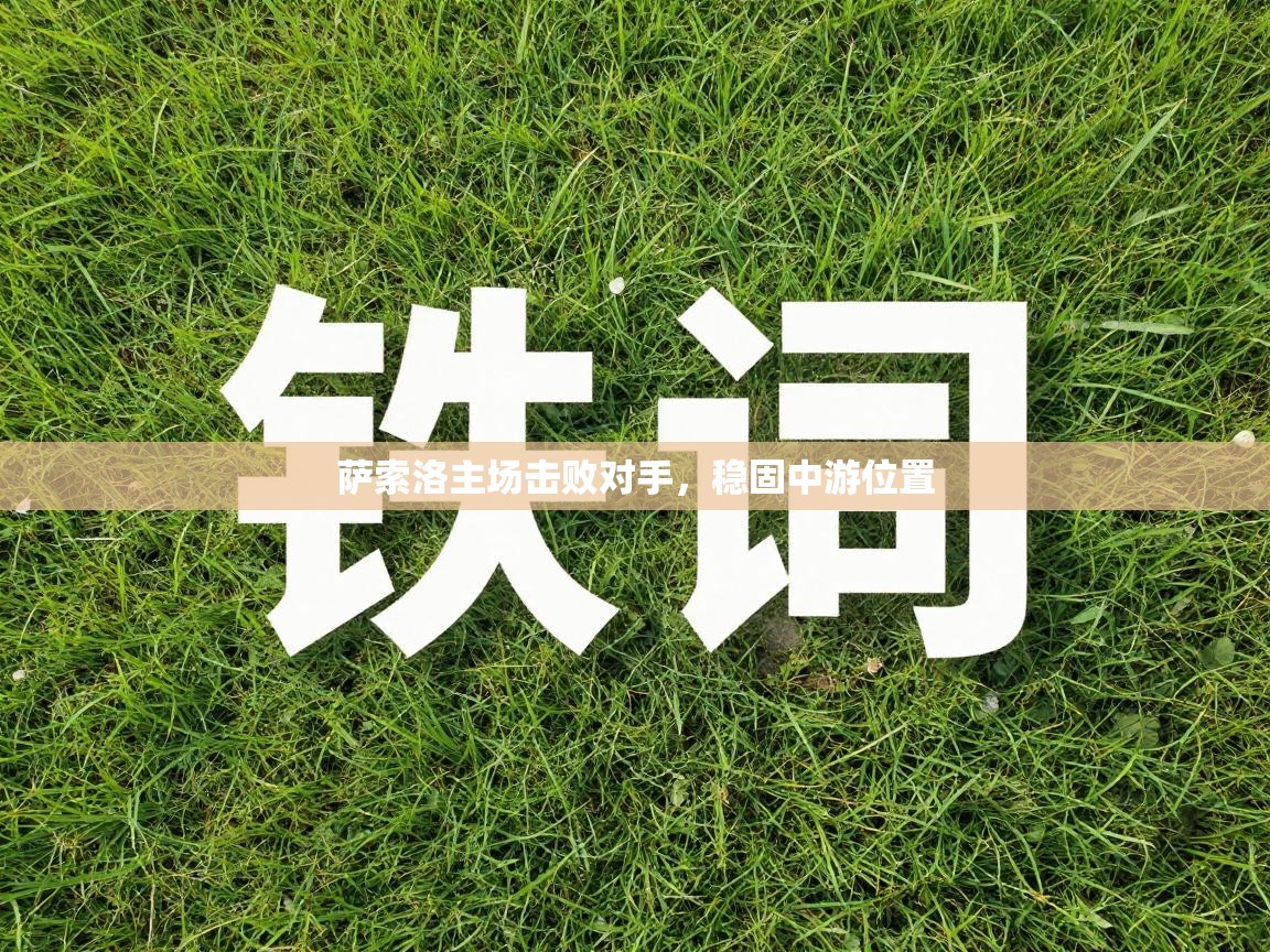 萨索洛主场击败对手，稳固中游位置  第2张